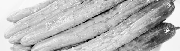 몰없는 오이지 50개담그는법 마무리