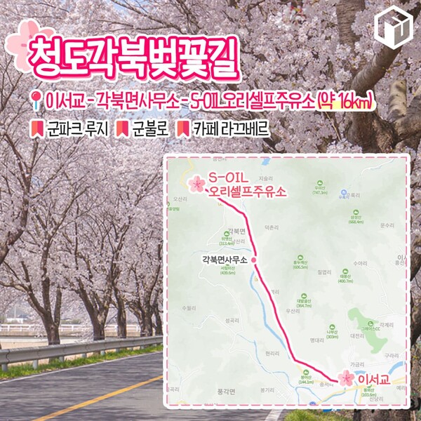 벚꽂 보러 갈래? 드라이브 코스 9(Do you want to go see cherry blossoms? South Korea's Beautiful Drive Course 9)