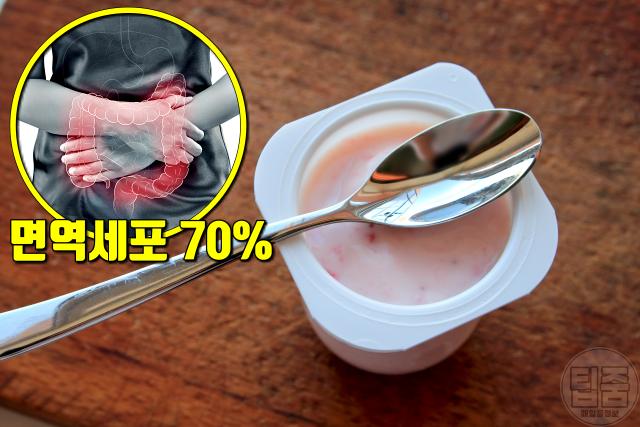 코로나 면역력 높이는 음식,면역력 높이는 방법,요거트 유산균,팁줌