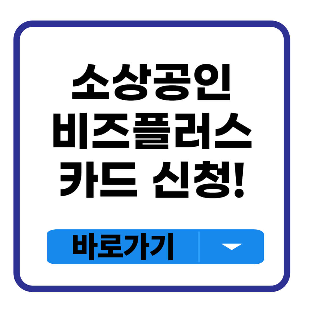 소상공인 비즈플러스카드