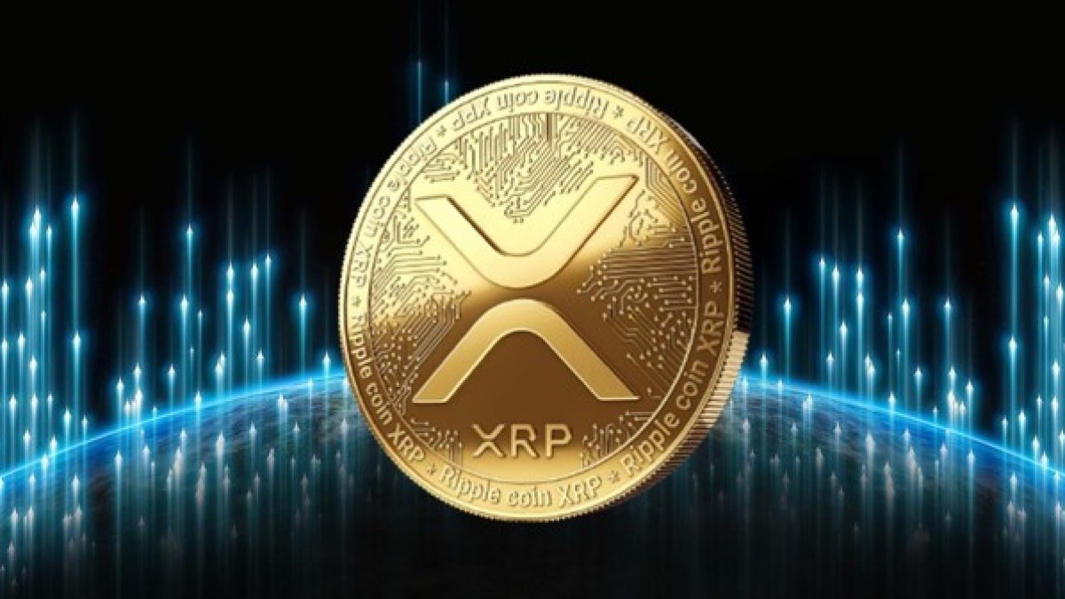 리플(XRP)의 시장 위치