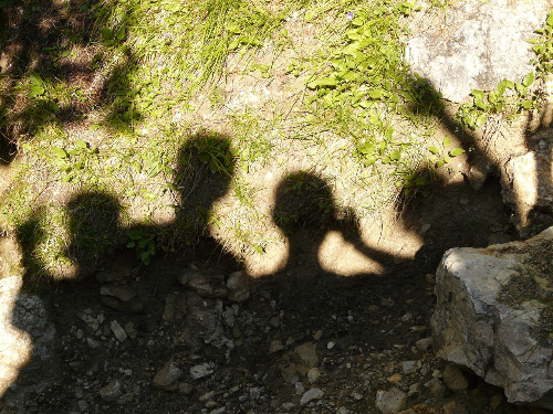 자기효능감 높이는 훈련법 (개념, 강화훈련법, 실생활 적용)