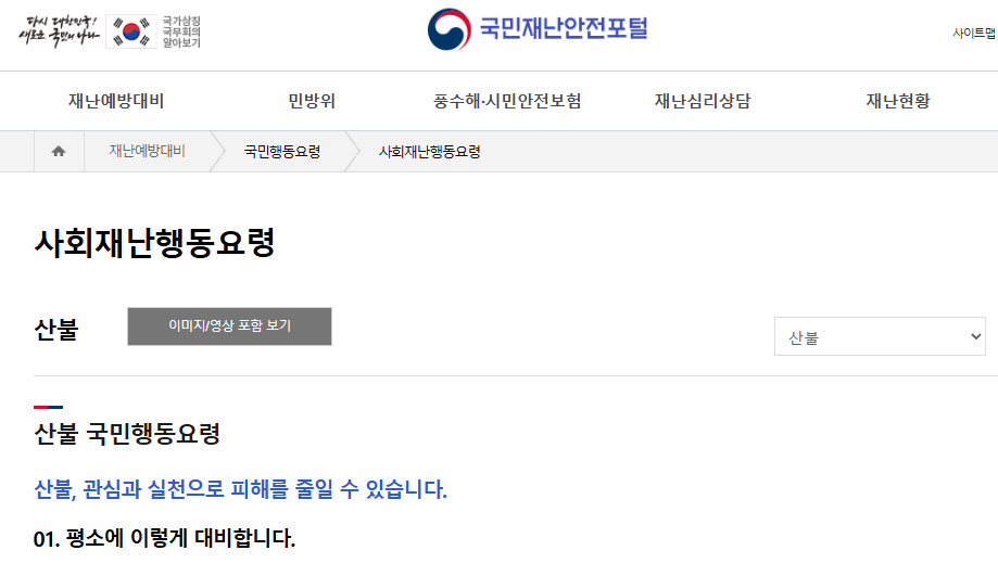 산불 현황