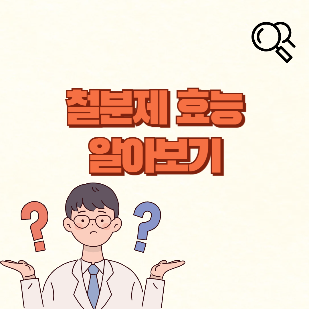 철분제 효능에 대한 글 대표 이미지