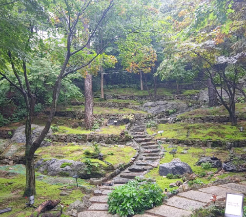 화담숲 예약