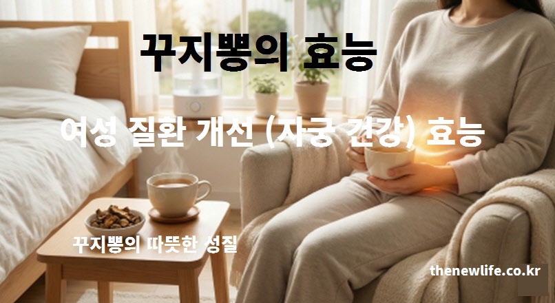 자궁을 따뜻하게 하고 여성 질환을 개선하는 꾸지뽕 효능과 따뜻한 성질 설명 이미지