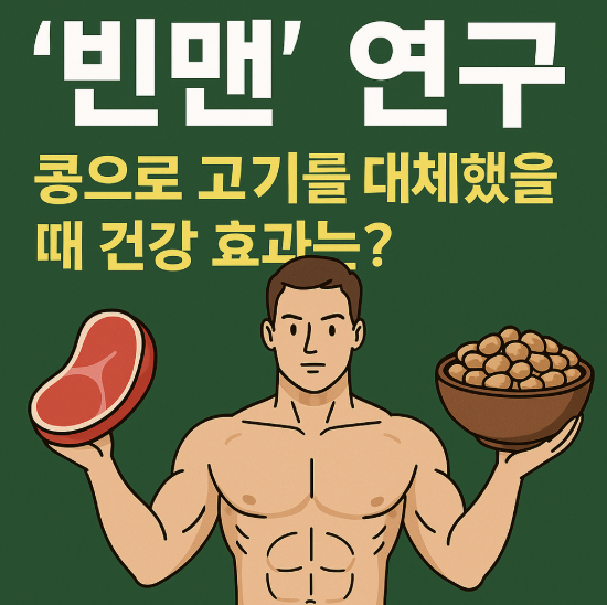 빈맨 연구