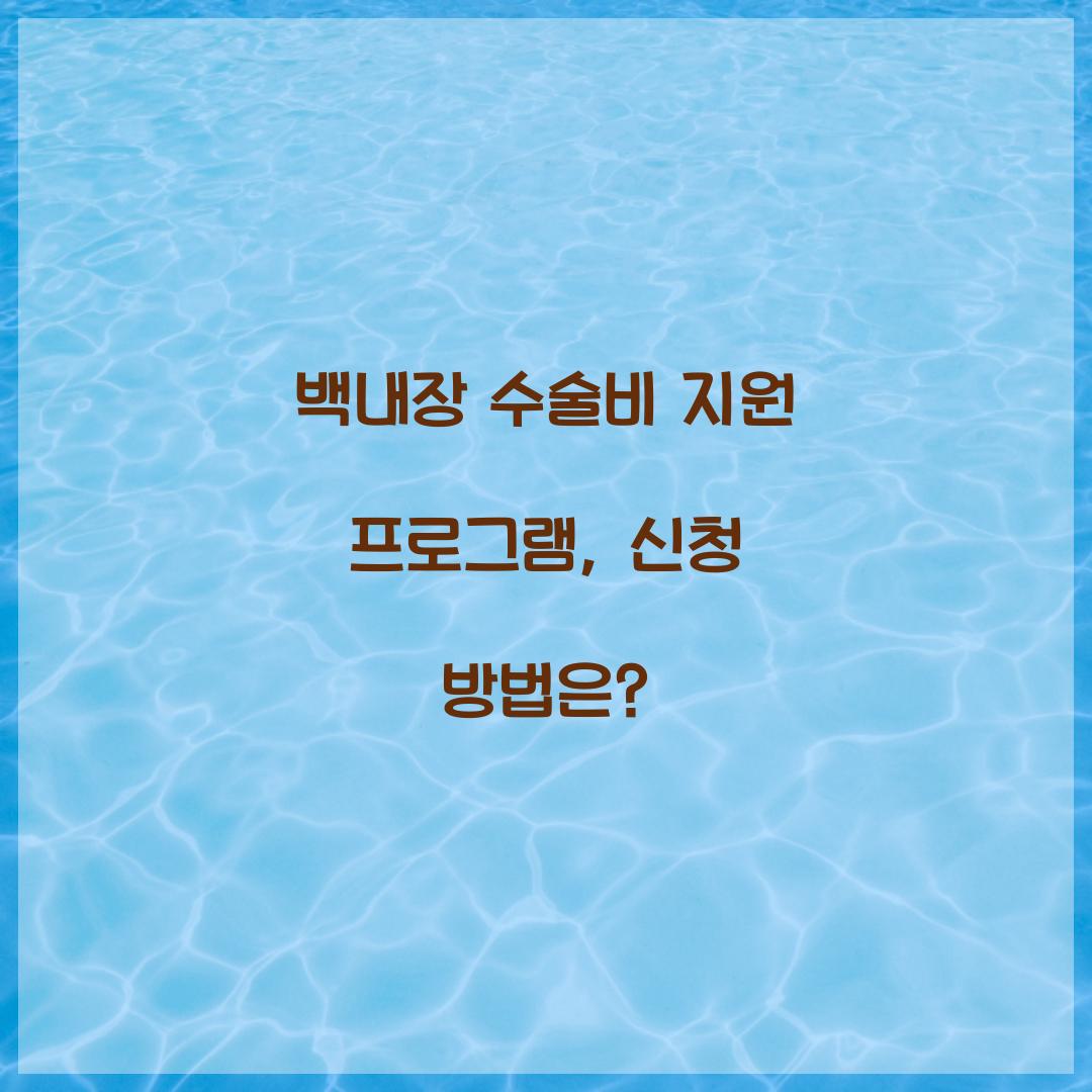 백내장 수술비 지원 프로그램