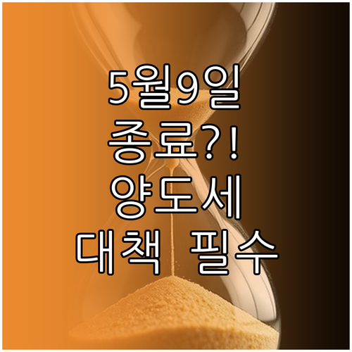 양도세중과유예5월9일종료실수요자대비책..