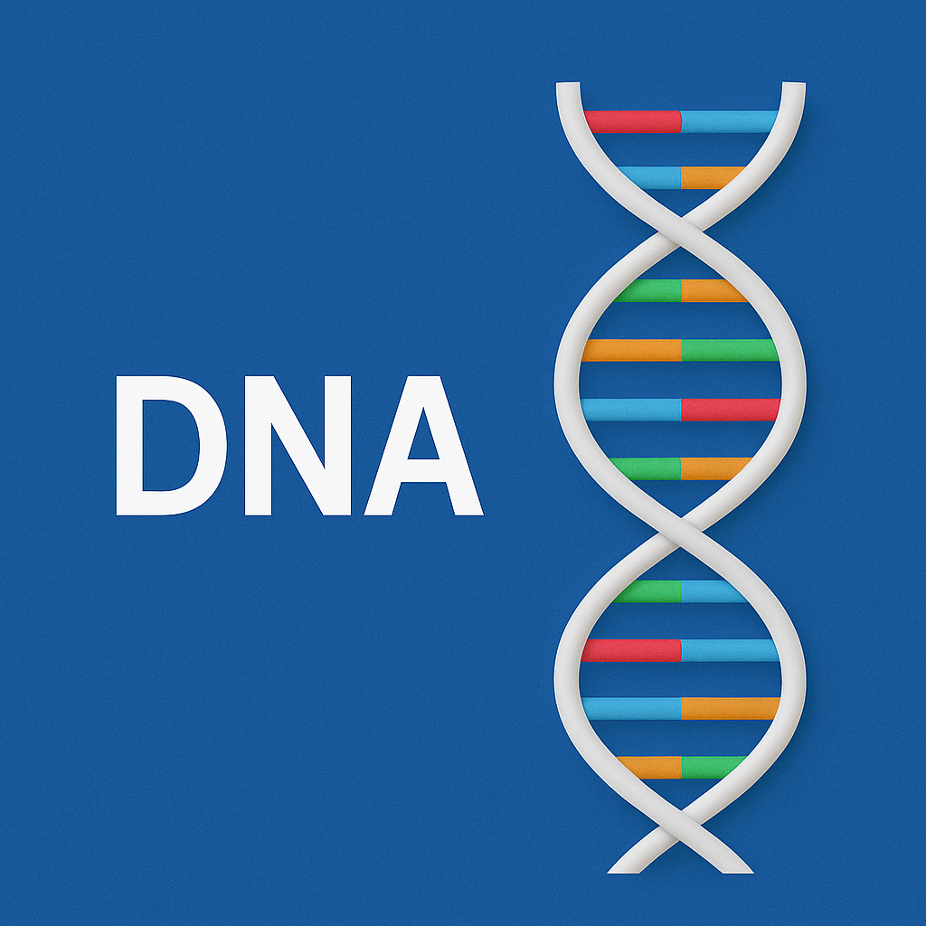디엔에이 이미지