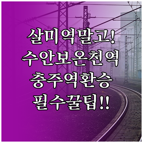 살미역 시간표 확인 대신 충주역 수안..