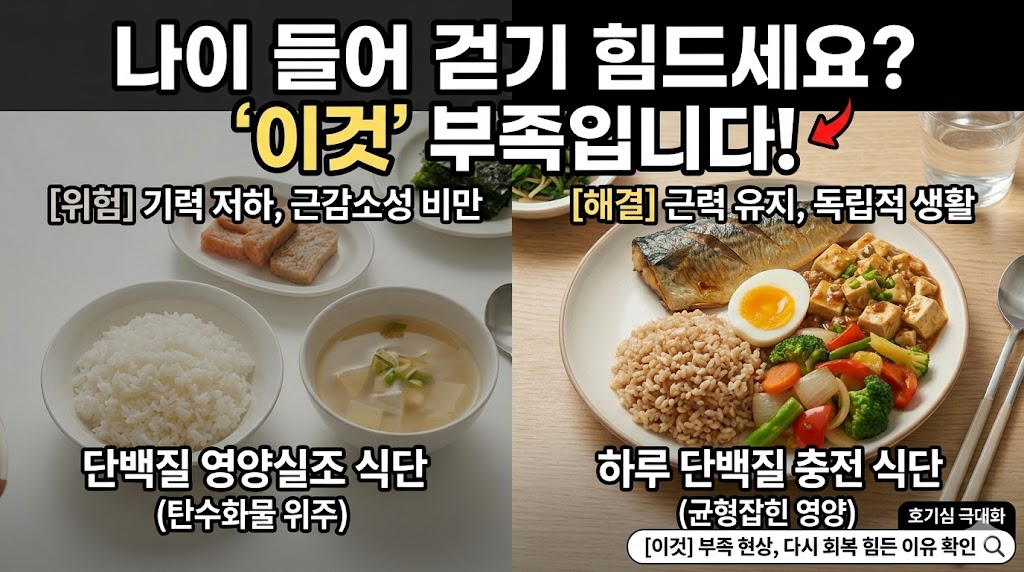 "나이 들어 걷기 힘드세요? '이것' 부족입니다!"라는 문구가 적힌 썸네일. 왼쪽에는 영양실조 식단, 오른쪽에는 단백질 충전 식단을 비교하여 노년기 근력 유지의 중요성을 강조함.