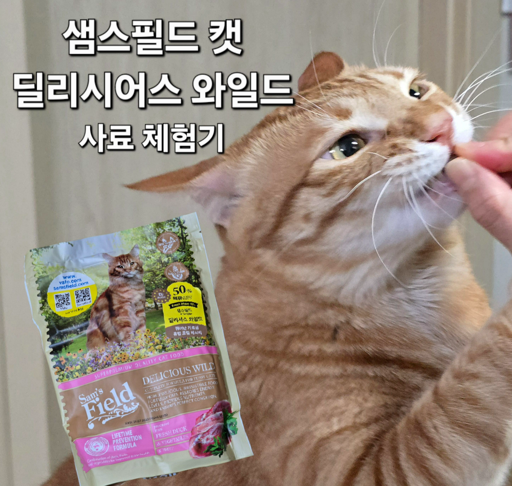 샘스필드 캣 사료