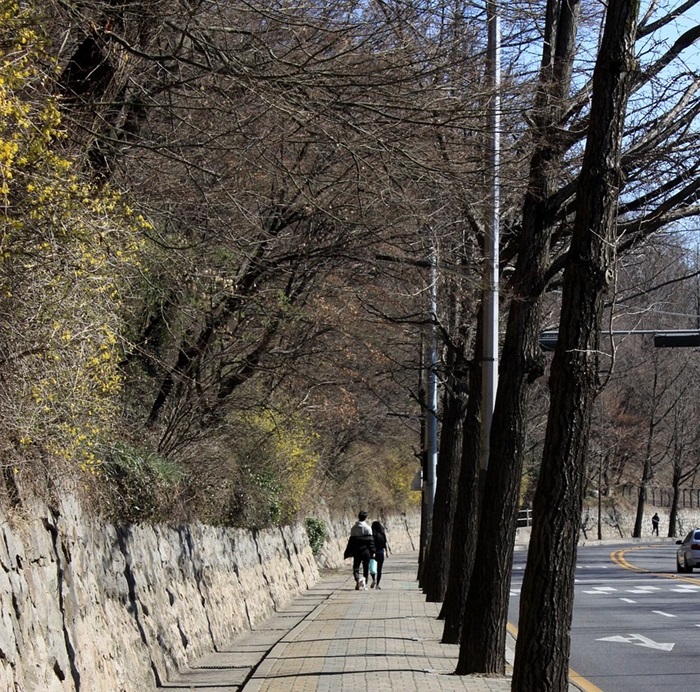 30분 걷기, 얼마나 많은 칼로리가 소모될까? 걷기의 놀라운 장점