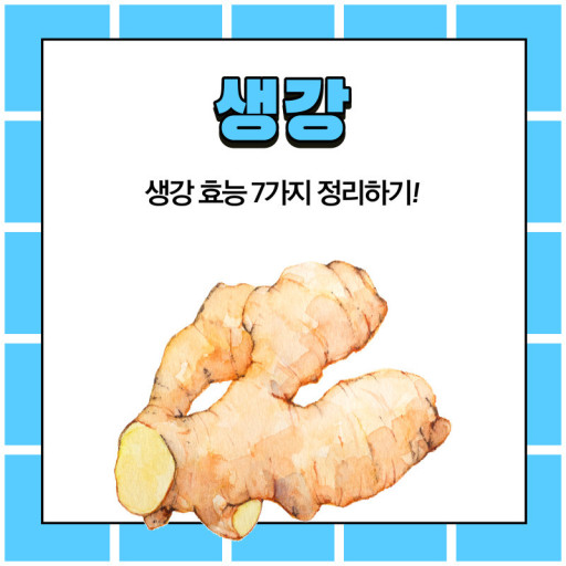 생강 효능