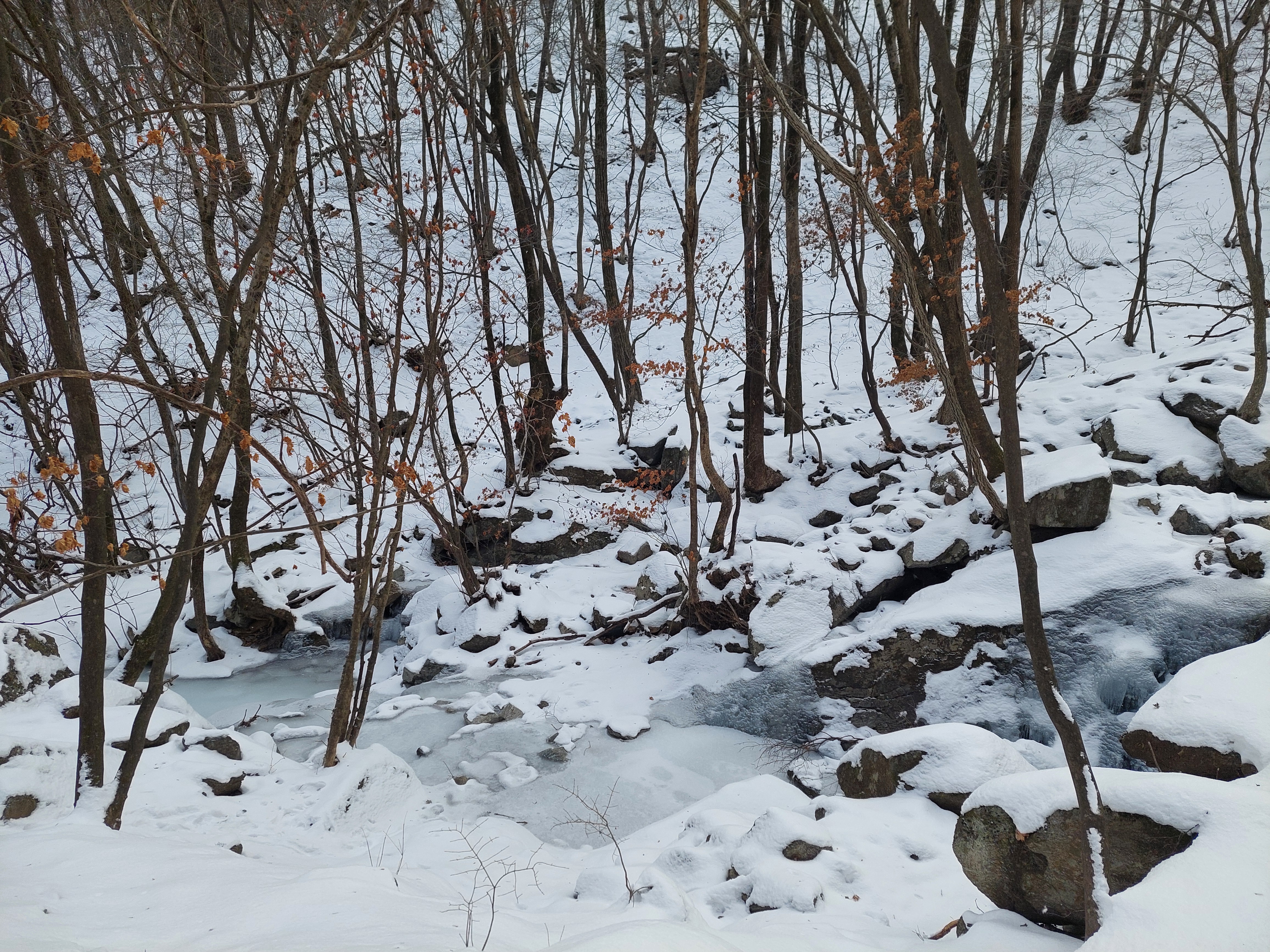 유명산