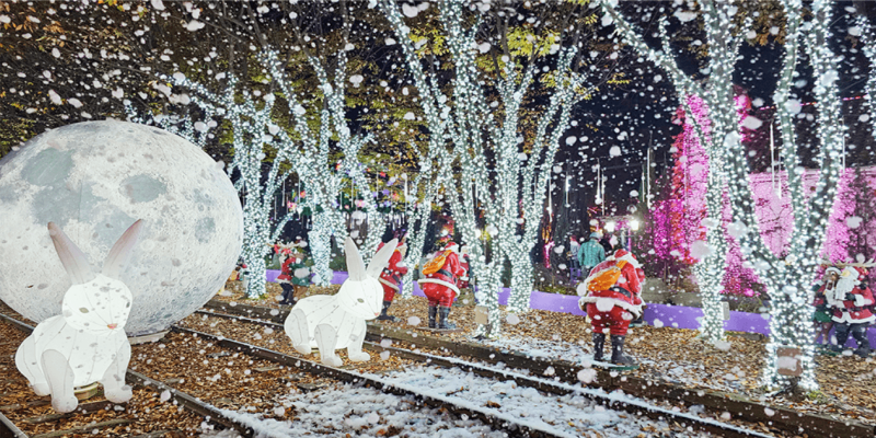 청도프로방스-크리스마스축제-이미지