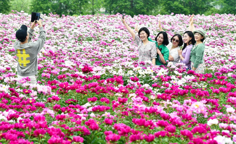 핫들생태공원 합천 산청 진달래축제_5