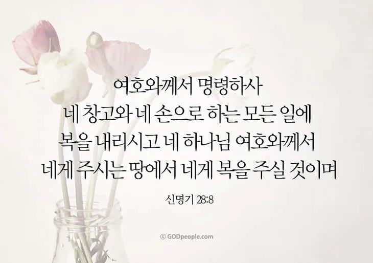 신명기 28장 축복 저주 강해_3