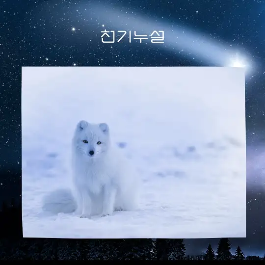 여우가 등장하는 꿈 해몽