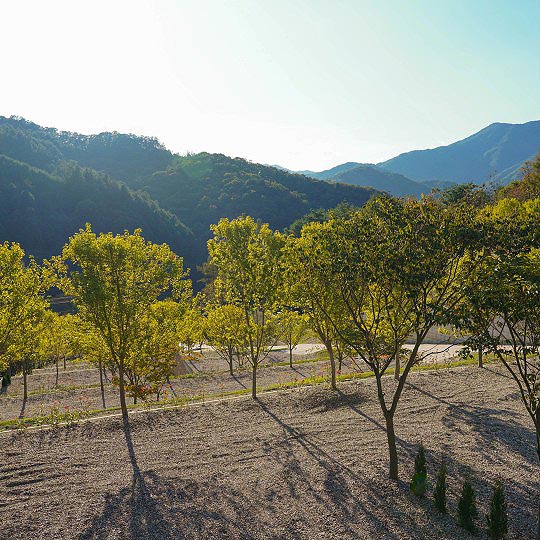 민경훈 캠핑장, 양평 '집 밖으로' 소개