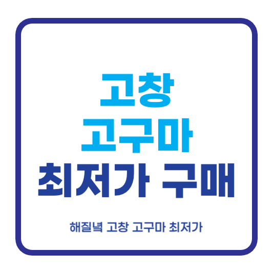 고창 고구마