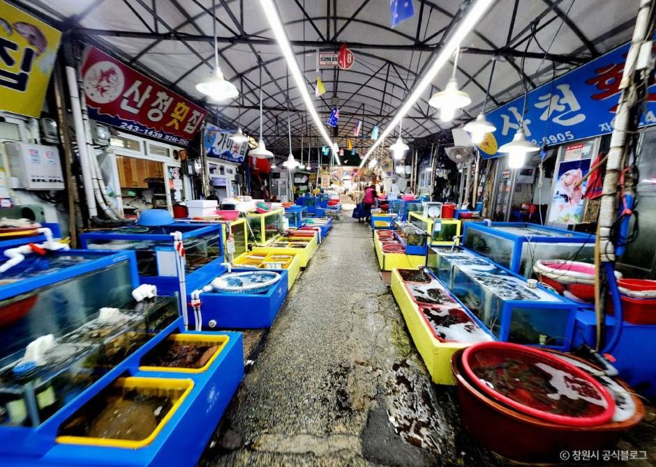 창원 가볼만한곳 베스트10