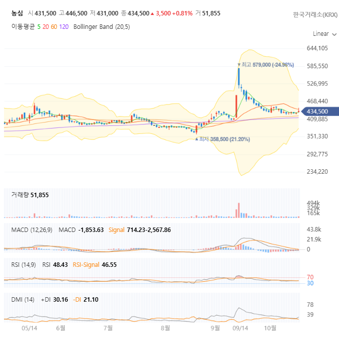 농심 일봉 차트 자세히