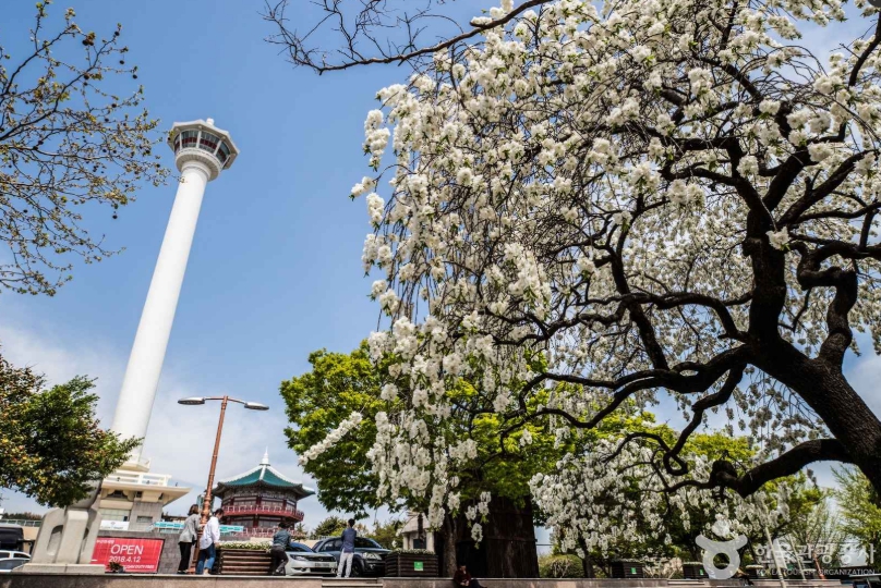 부산타워 용두산공원