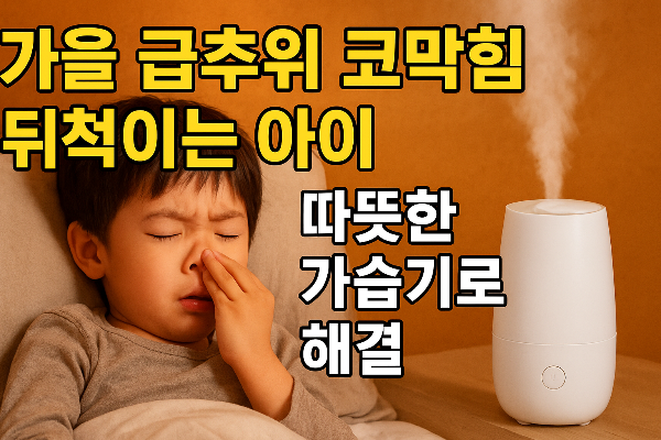 가을 환절기 코막힘 가습기로 해결