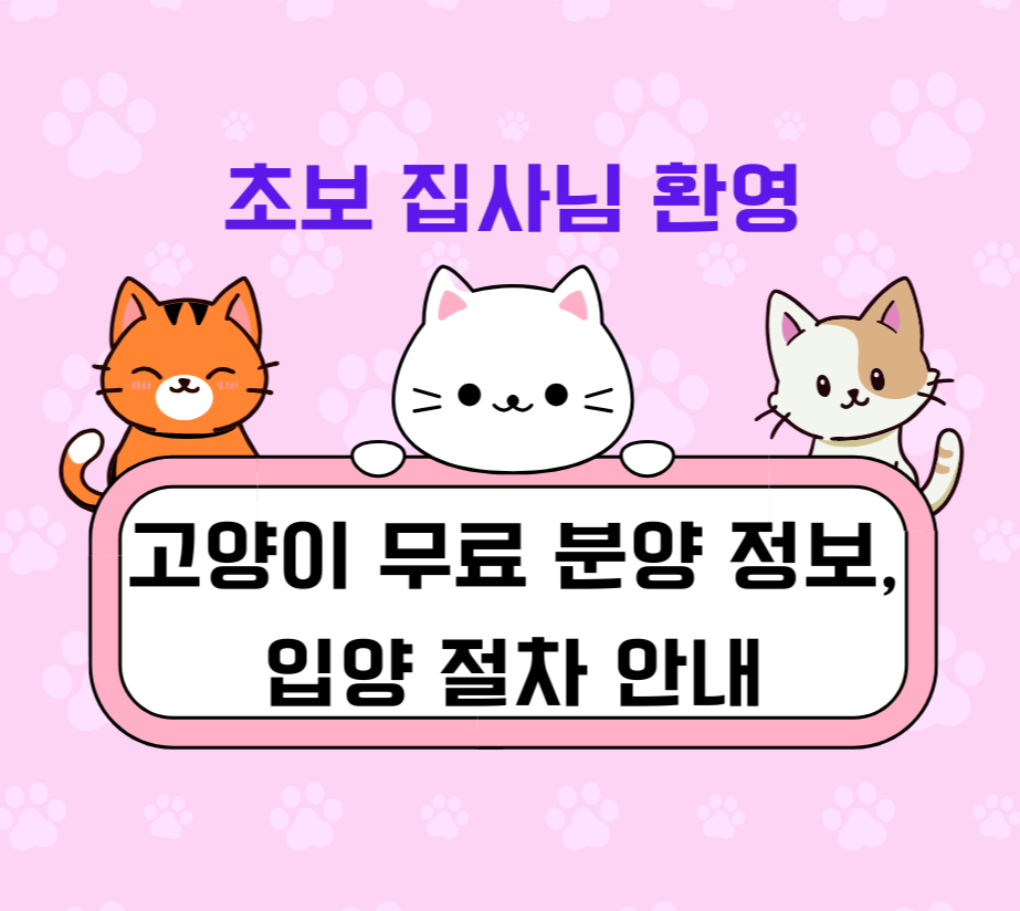 초보 집사님 환영! 고양이 무료 분양 정보, 입양 절차 안내