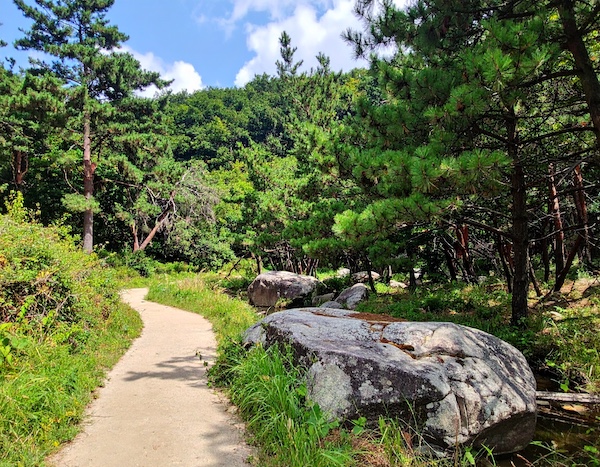 국립&amp;#44; 공립&amp;#44; 사립 자연휴양림