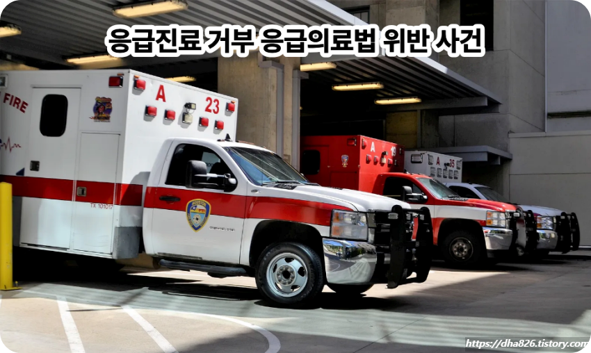 응급진료 거부 응급의료법 위반 사건