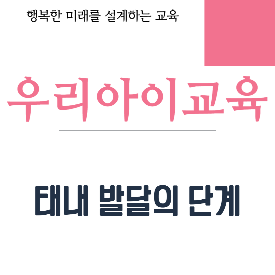 태내 발달의 단계