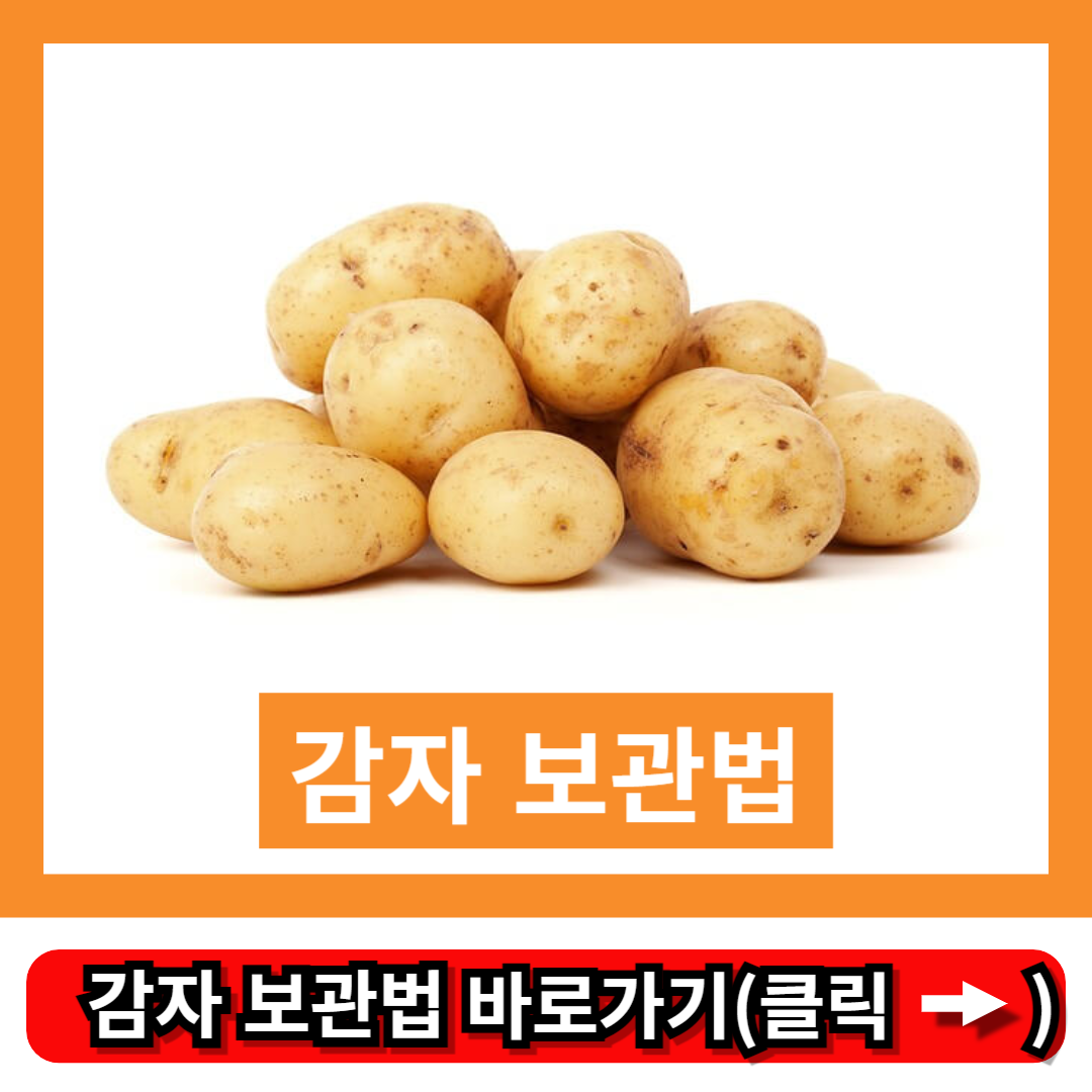 감자 보관법