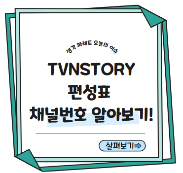 TVNSTORY편성표와 채널번호 알아보기!