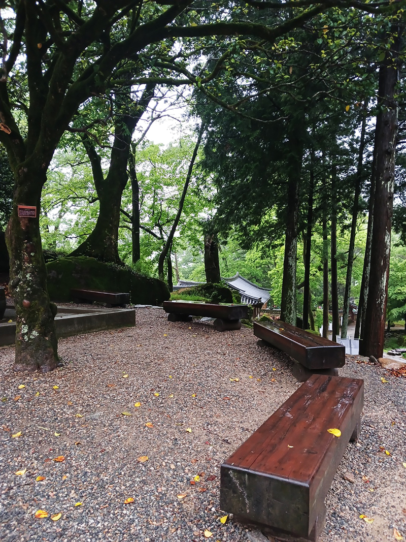 경남 쌍계사 템플스테이 신청 방법