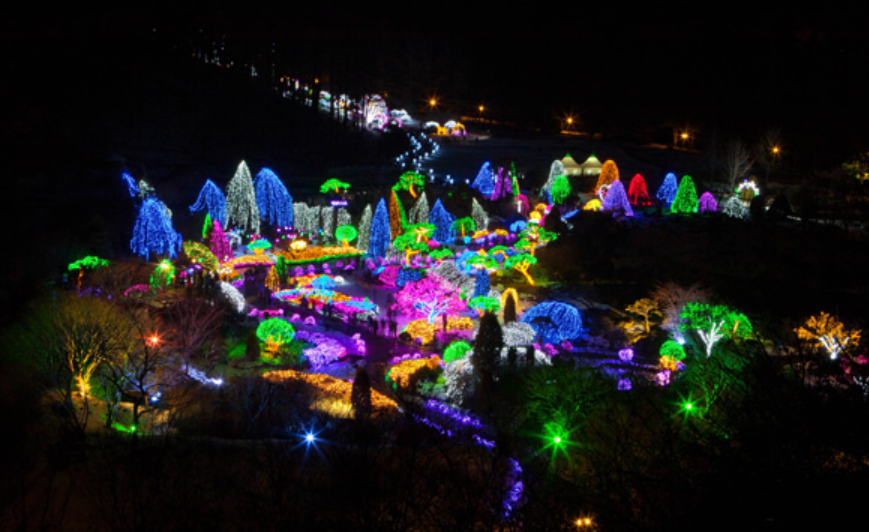 가평 아침고요수목원 오색별빛정원전