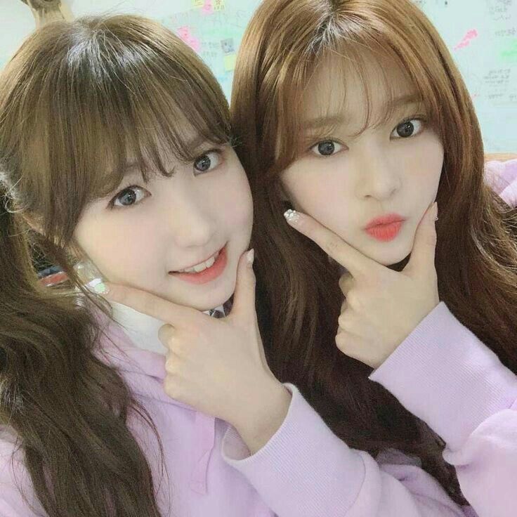 아이즈원 프로듀스48 사진 모음