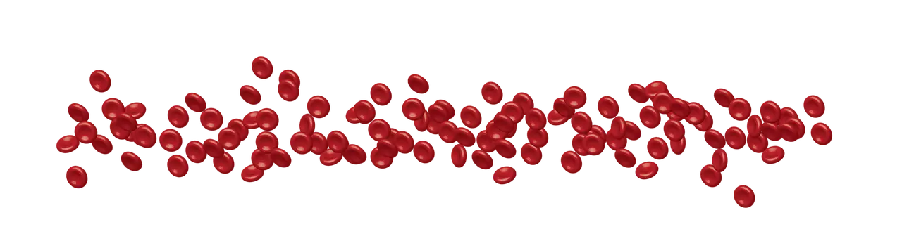 나토필 나토키나제 효능