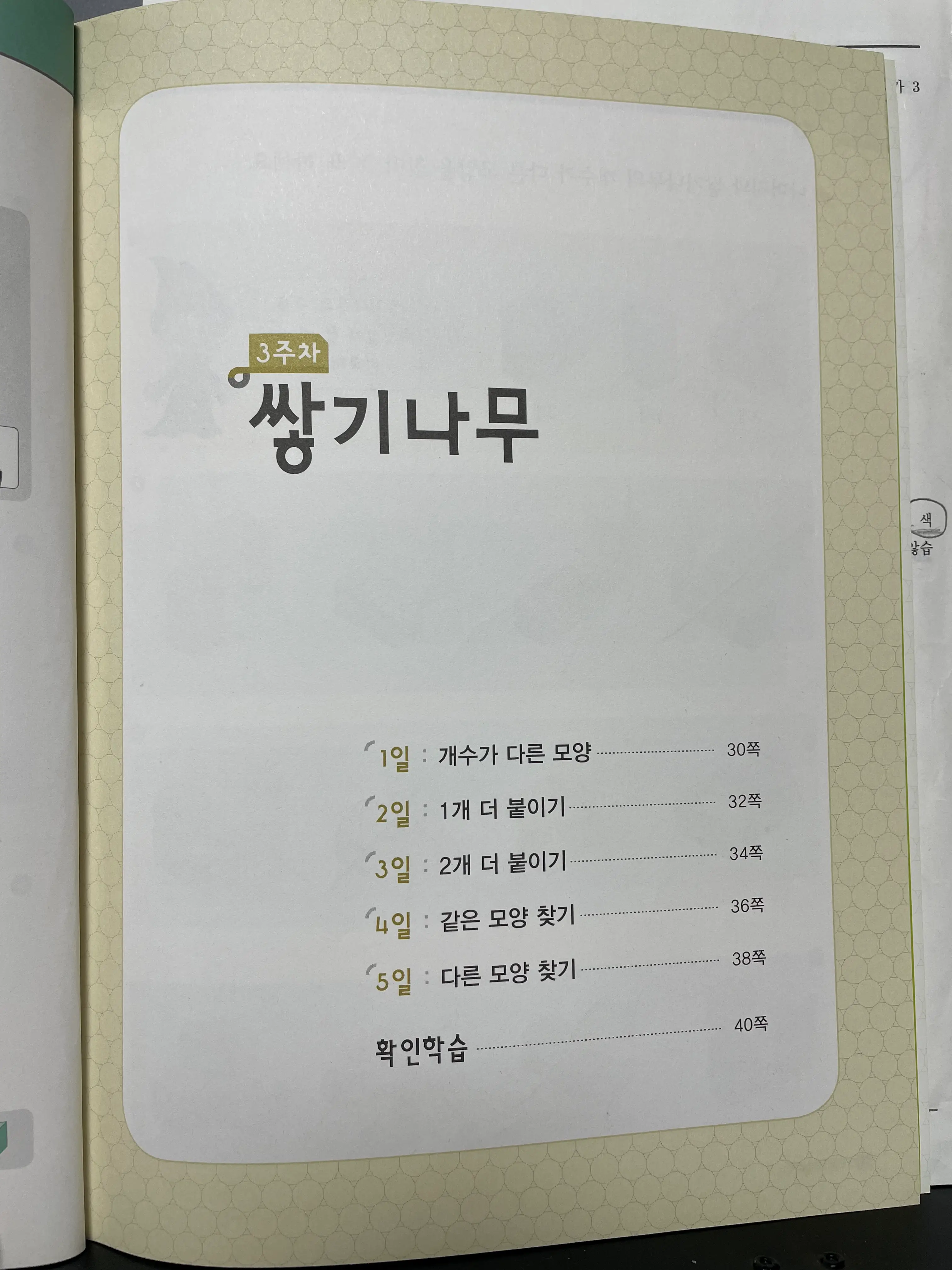 P단계 쌓기나무