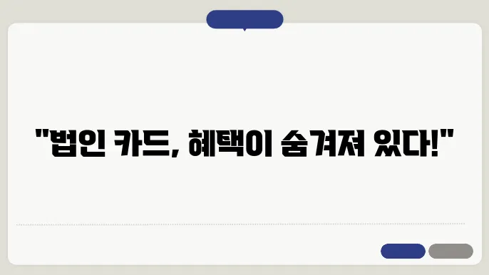 법인 카드 다양한 형태