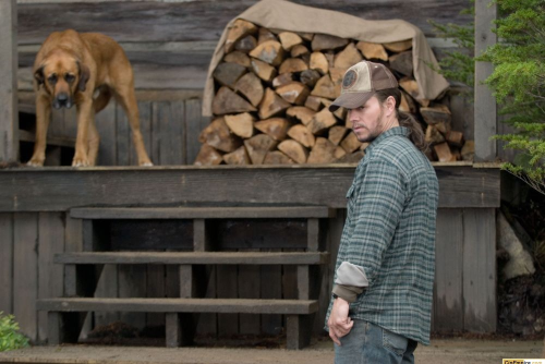 영화-더블-타겟-마크-월버그-스틸컷