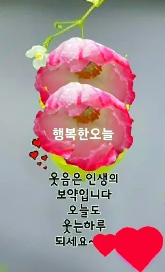 안부인사글 안부 인사말 3월 4월 5월 센스있는 인사말 모음_8