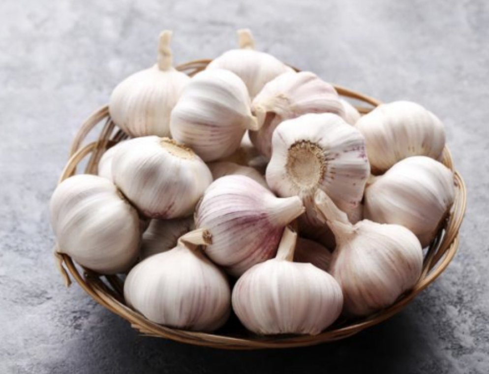 마늘 효능
