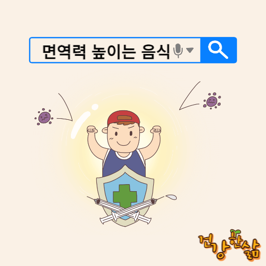 면역력 높이는 음식
