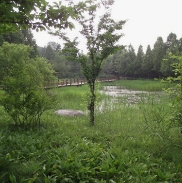물향기수목원 입장료&middot;운영시간 총정리 &amp;#44; 근처 맛집