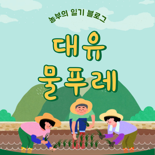 대유 물푸레 성분,사용법,구매처 총 정리