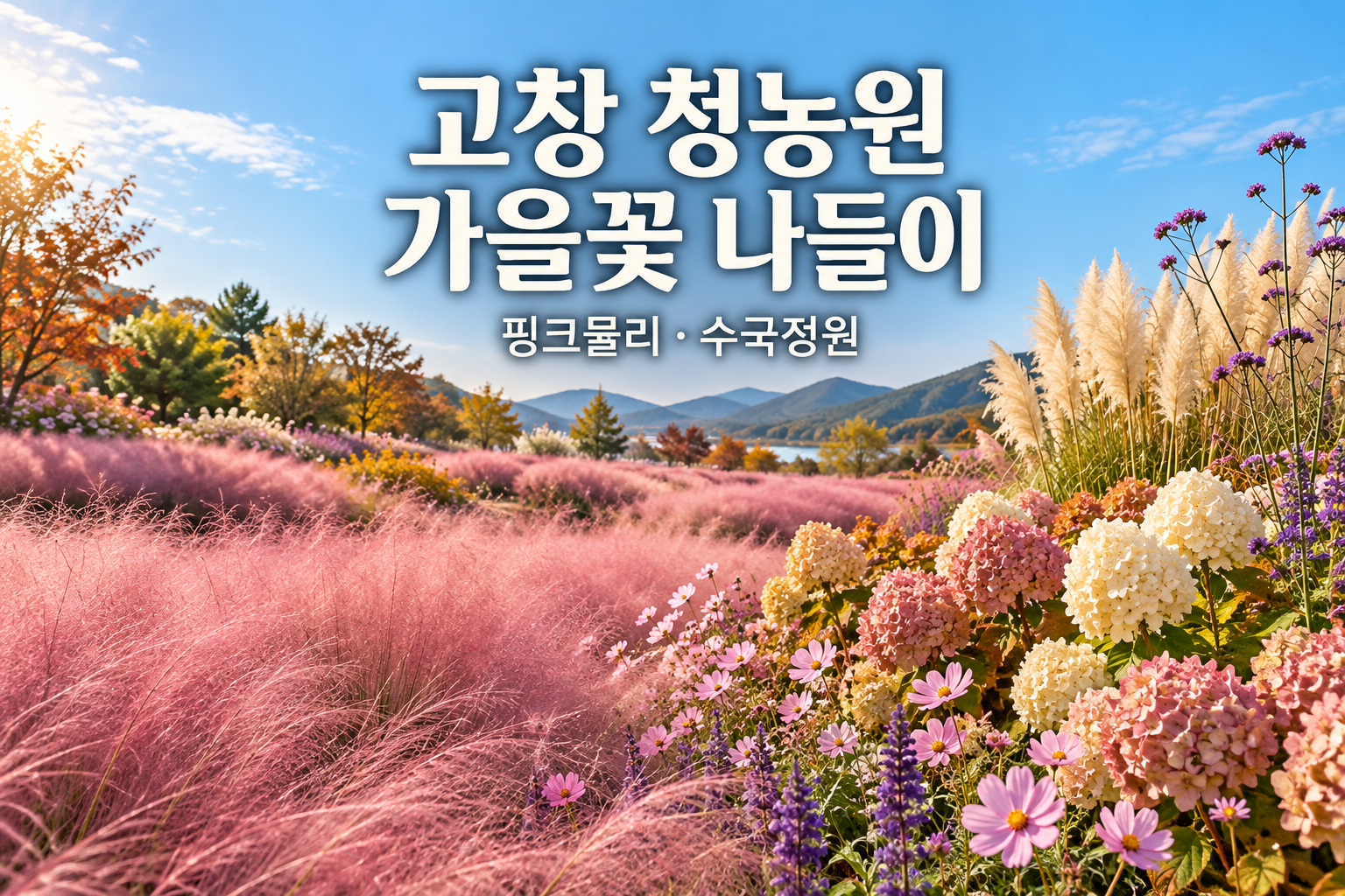 고창 청농원 가을꽃 나들이｜핑크뮬리&middot;수국정원과 입장료, 학원농장 코스