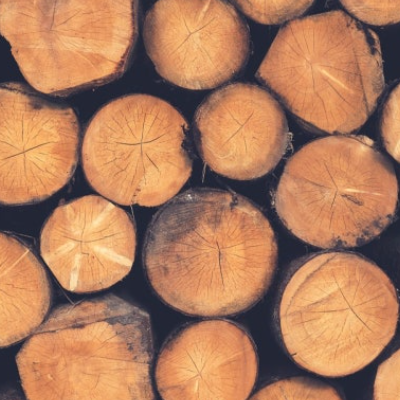 목재 관련주 대장주 테마주 수혜주 TOP5